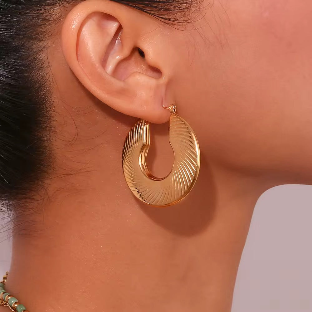 Zibra Hoops