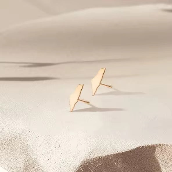 Palestine Map Earrings