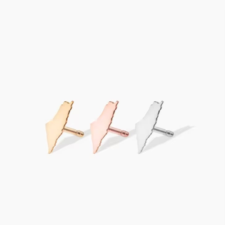 Palestine Map Earrings