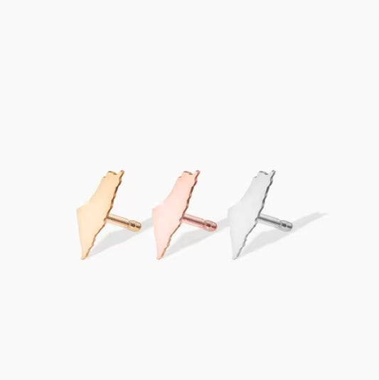 Palestine Map Earrings