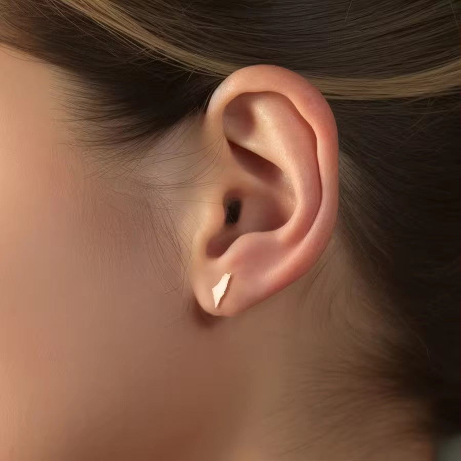 Palestine Map Earrings